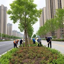 beat365 建瓯全国最大绿化树苗批发市场在哪里